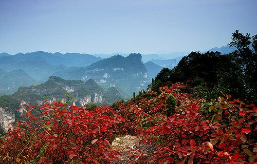 自驾游